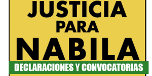 declaraciones