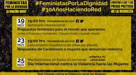 actividades feministas por la dignidad y mucho mas red chilena