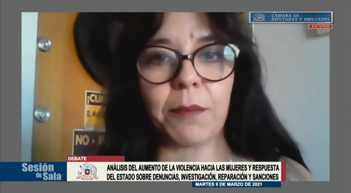 Foto Lorena Astudillo en sesión Cámara Baja