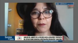 Foto Lorena Astudillo en sesión Cámara Baja