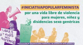 iniciativa popular feminista por una vida libre de violencia para mujeres, niñez y disidencias sexo genéricas