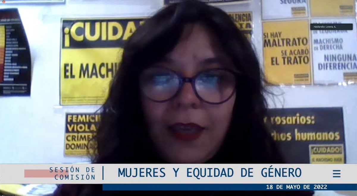 Lorena Astudillo en Comisión de Mujeres y Equidad de Género de la Cámara de Diputadas