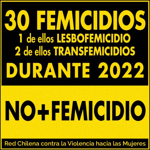 30 femicidios, 1 de ellos lesbofemicidio y dos trans femicidios. durante 2022