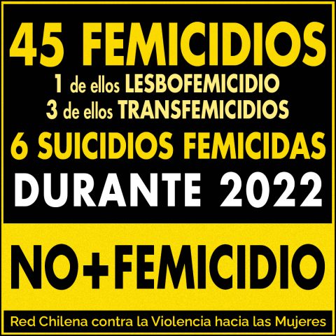 45 femicidios, 1 de ellos lesbofemicidio, 3 de ellos transfemicidios y 6 suicidios femicidas durante 2022. no más femicidio.