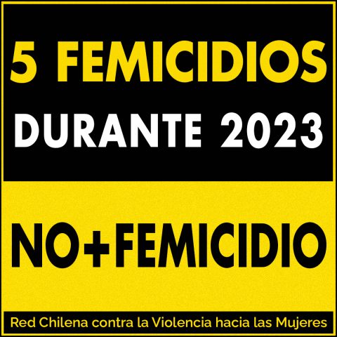 5 femicidios durante 2023. No más femicidio.