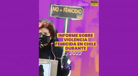 Informe sobre violencia femicida 2022. Red Chilena contra la Violencia hacia las Mujeres